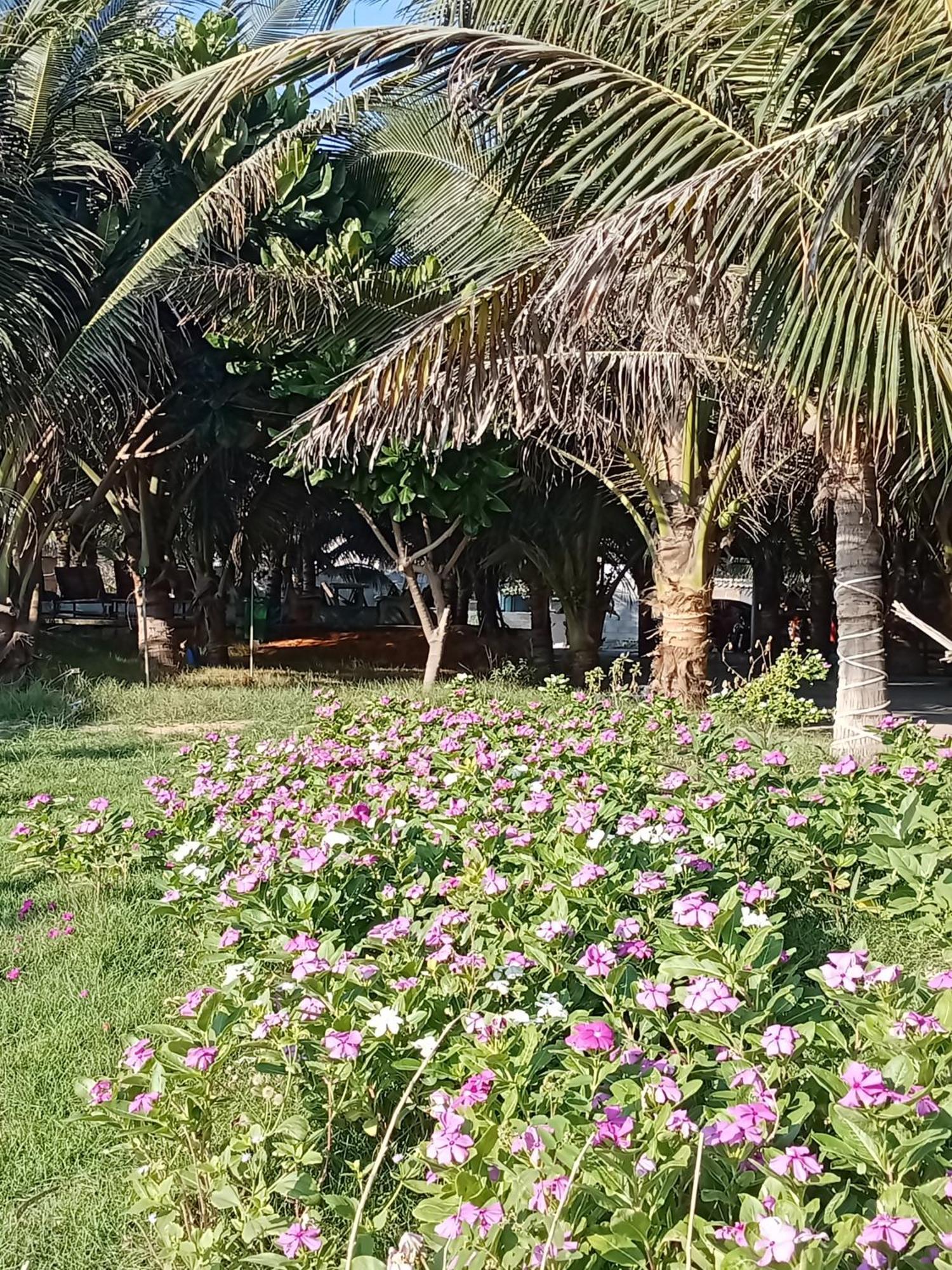 Bien Ngoc Homstay Phan Thiet Luaran gambar