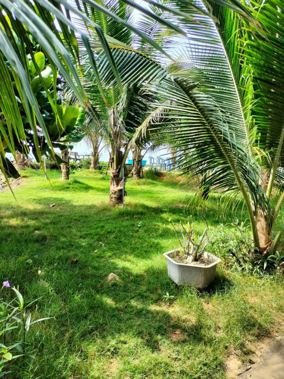 Bien Ngoc Homstay Phan Thiet Luaran gambar