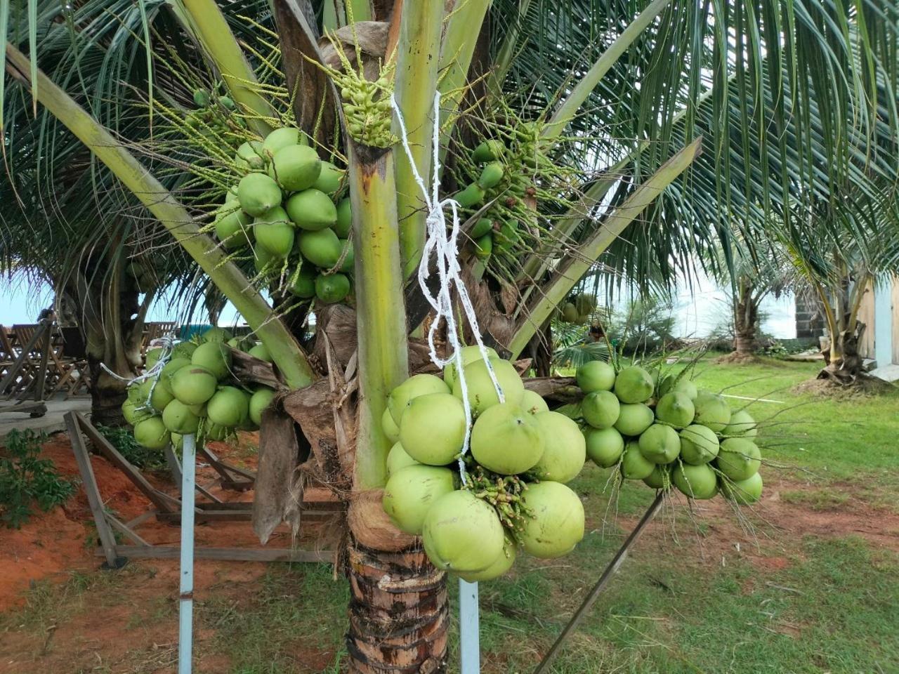 Bien Ngoc Homstay Phan Thiet Bilik gambar