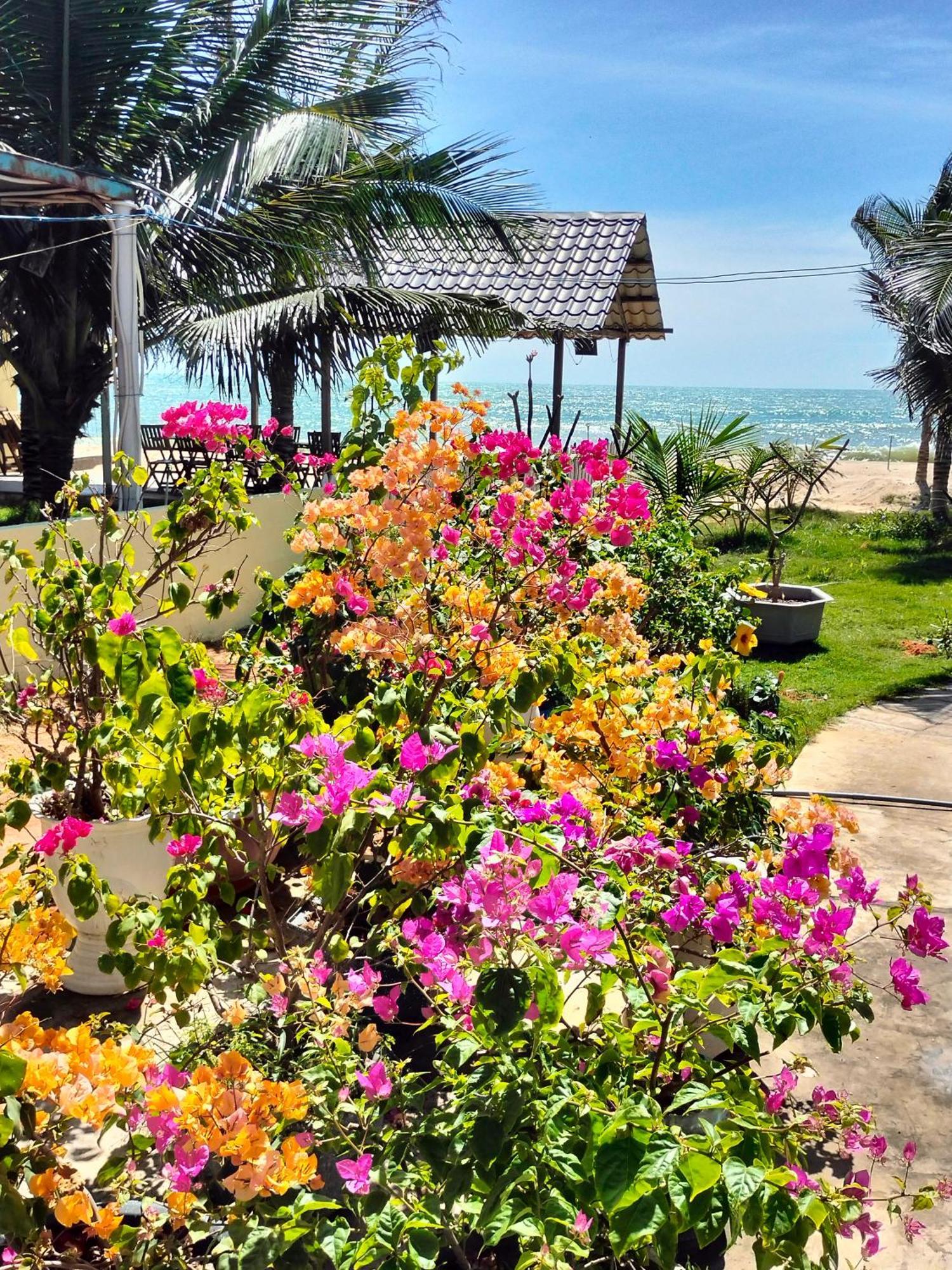 Bien Ngoc Homstay Phan Thiet Luaran gambar
